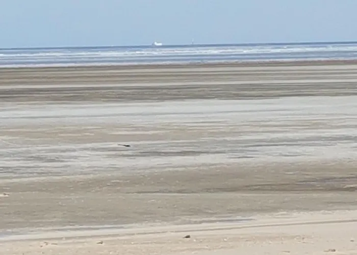 Gemütliches Apartment direkt am Strand