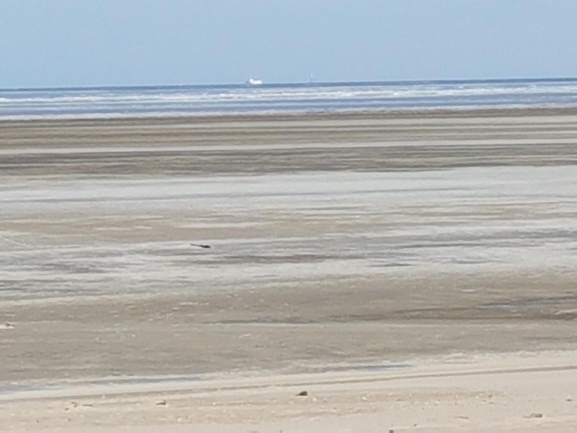 Gemütliches Direkt Am Cuxhaven